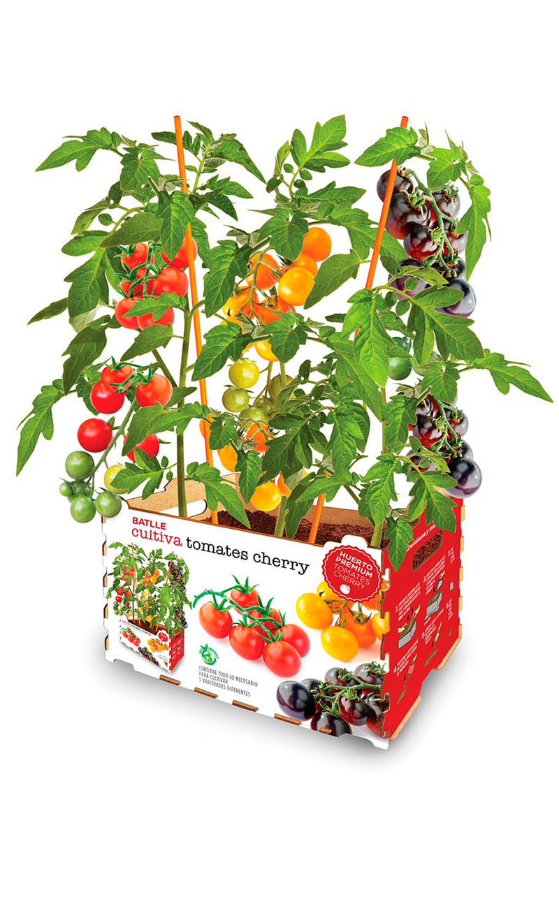 KIT Horta Premium Tomates Cherry